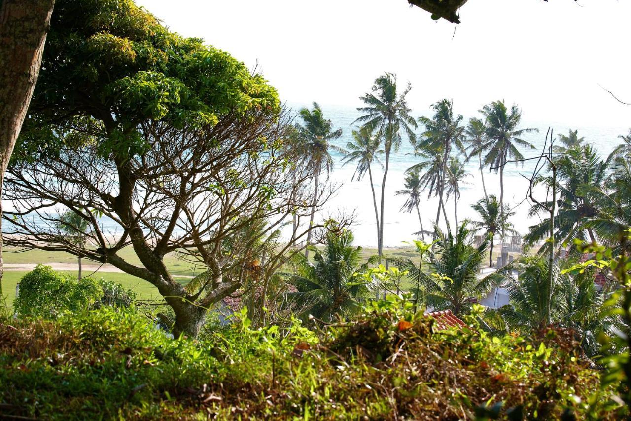 Bed and Breakfast Sky Mountain Cafe With Seaview Weligama Exterior foto